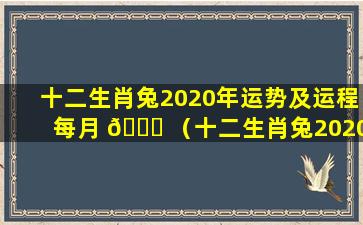 十二生肖兔2020年运势及运程每月 🐘 （十二生肖兔2020年运势及运程每月运程 🕸 详解）